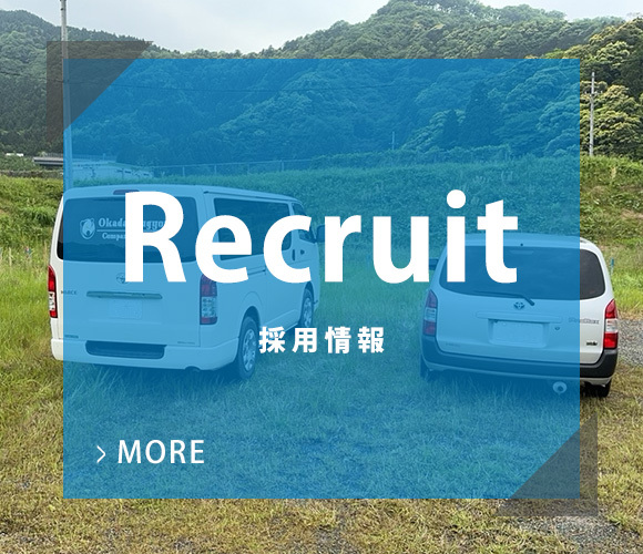 採用情報
